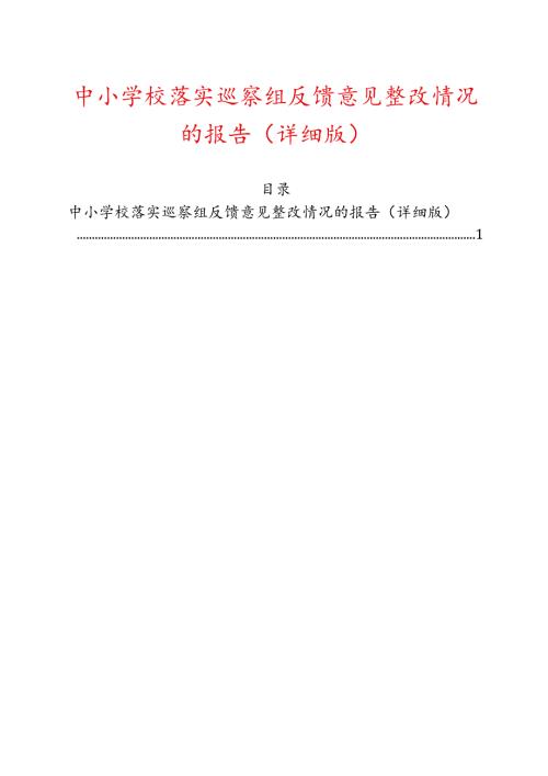 中小学校落实巡察组反馈意见整改情况的报告（详细版）.docx