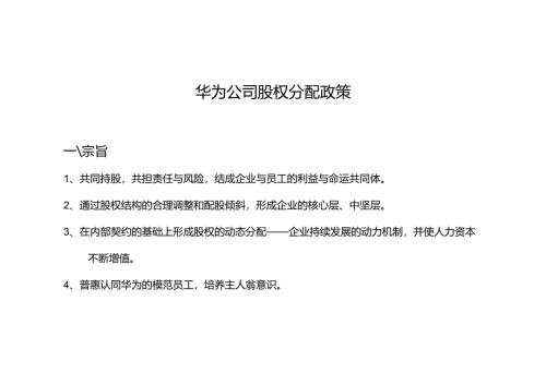 IBM—华为业务人力资源项目华为内部员工股权分配政策.docx