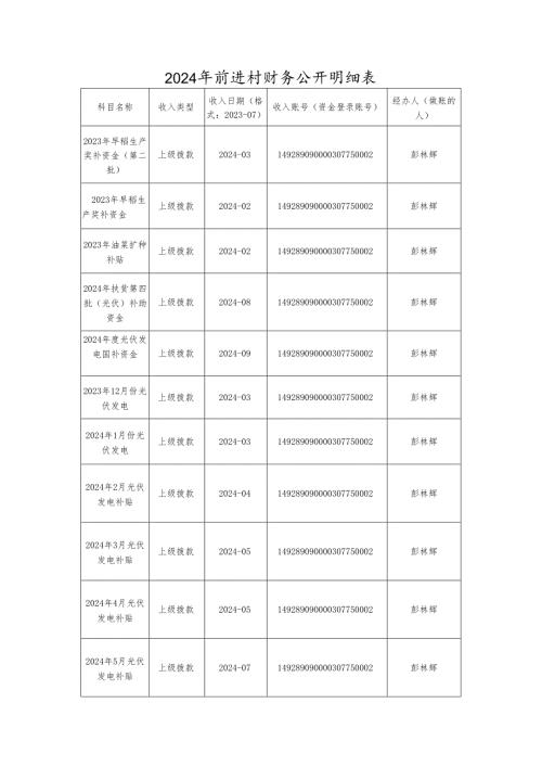 前进村财务公开明细表.docx