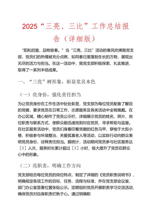 2025“三亮、三比”工作总结报告（详细版）.docx