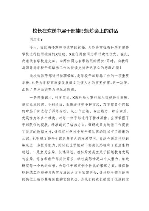 校长在欢送中层干部挂职锻炼会上的讲话.docx