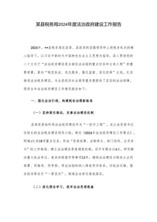某县税务局2024年度法治政府建设工作报告.docx