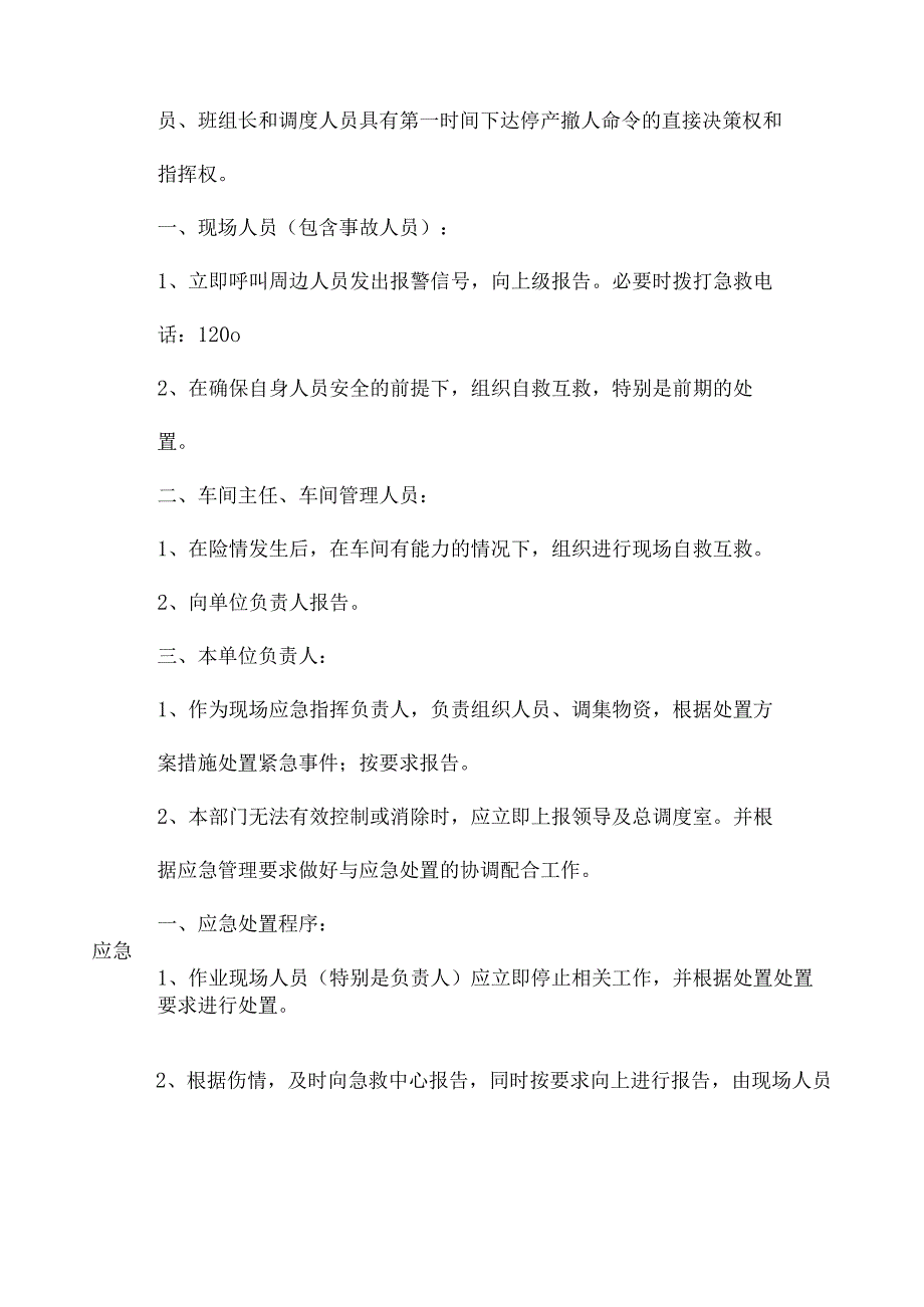 非煤矿山冒顶片帮事故现场应急处置方案.docx_第2页