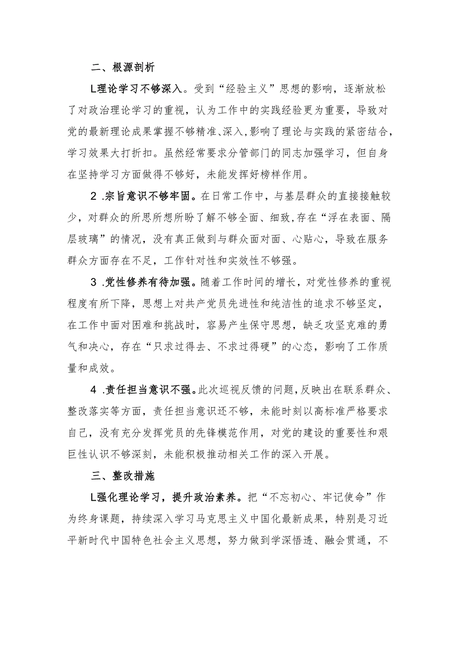 巡视整改专题民主生活会发言材料.docx_第3页