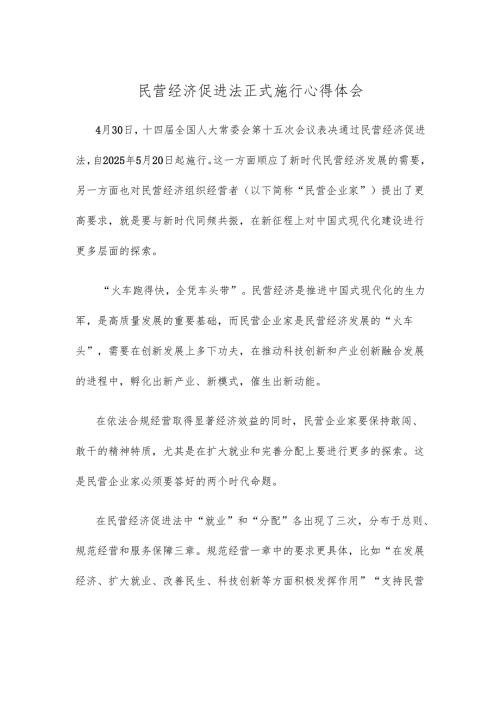 民营经济促进法正式施行心得体会.docx
