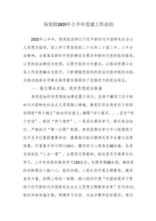 局党组2025年上半年党建工作总结.docx