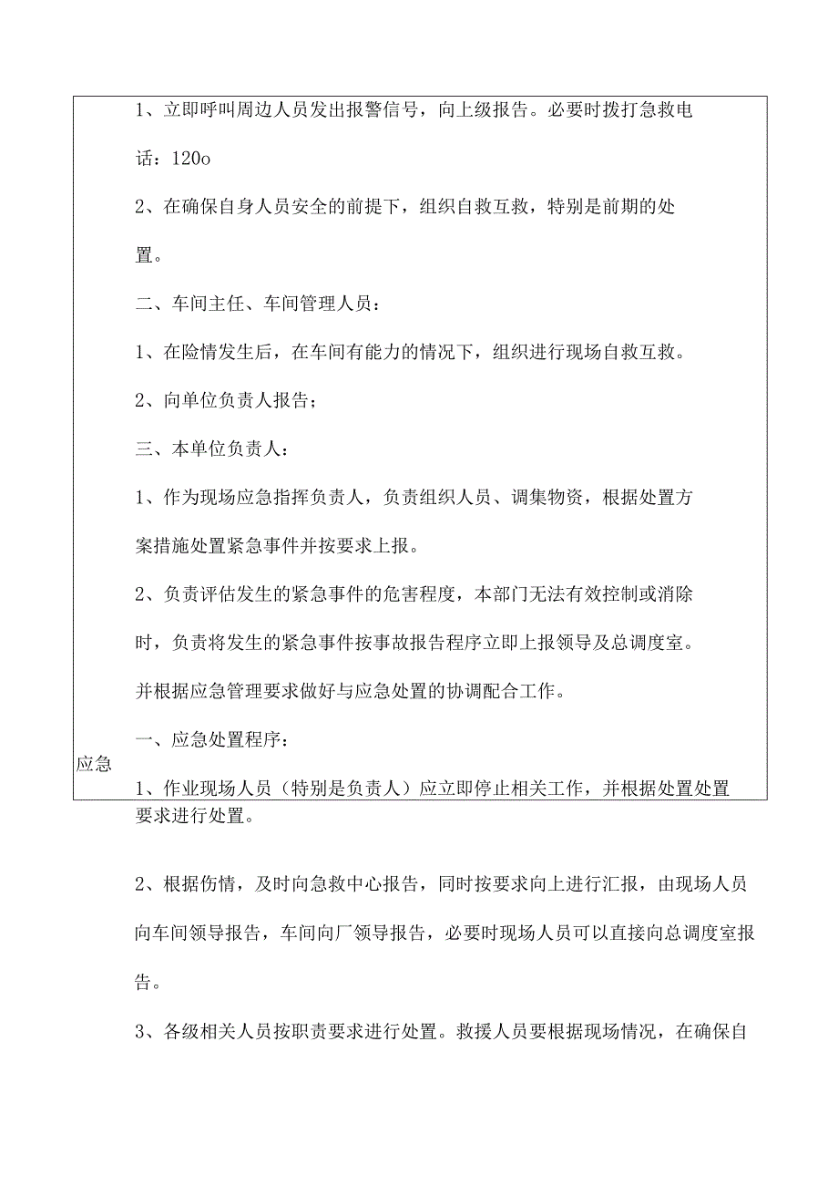锅炉事故现场应急处置方案.docx_第2页
