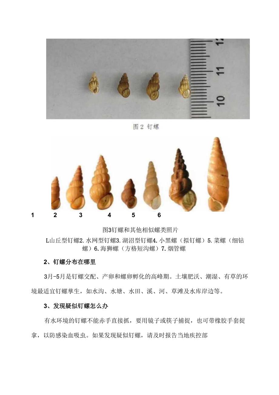 接触10秒即可感染血吸虫病（2025年）.docx_第3页