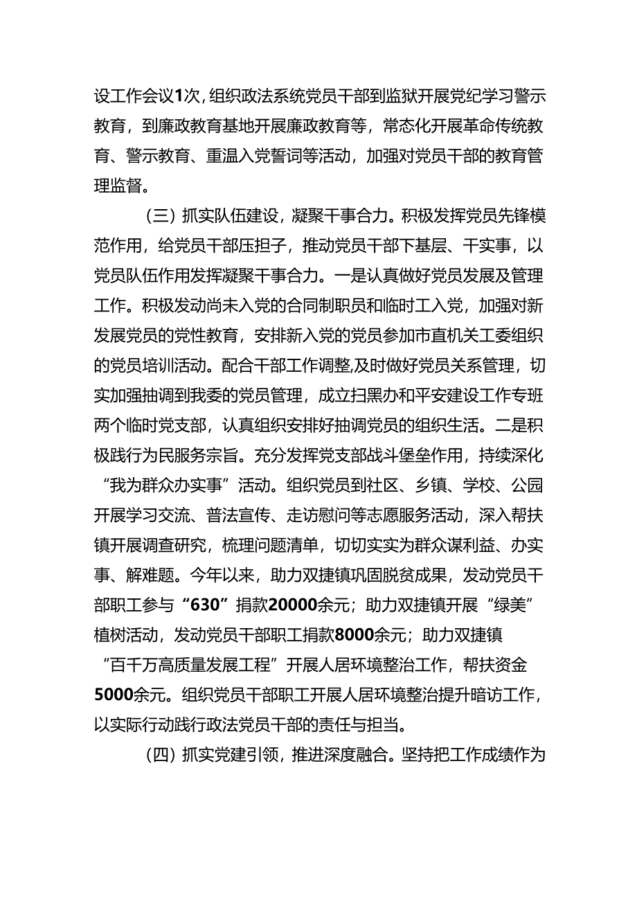 市委政法委2025年上半年党建工作总结.docx_第3页