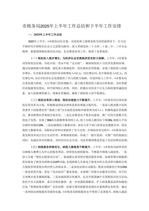 市税务局2025年上半年工作总结和下半年工作安排.docx