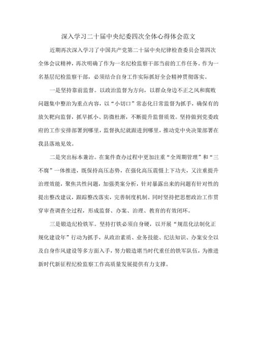 深入学习二十届中央纪委四次全体心得体会范文.docx