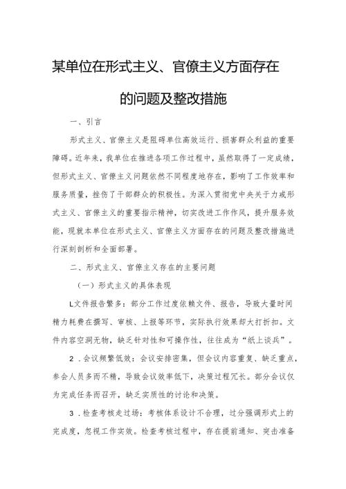 某单位在形式主义、官僚主义方面存在的问题及整改措施.docx