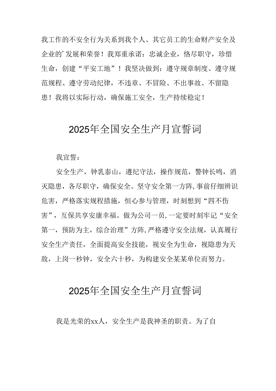 2025年全国安全生产月个人宣誓词 （合计9份）.docx_第2页