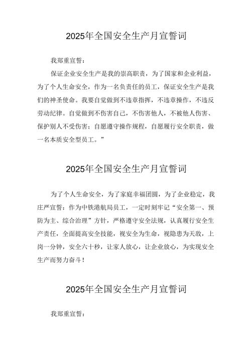 2025年《安全生产月》个人宣誓词 （4份）_79.docx