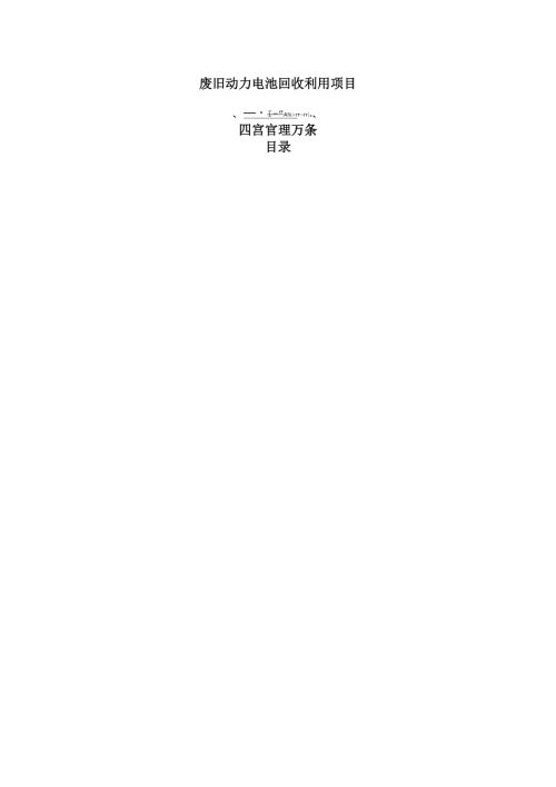 废旧动力电池回收利用项目运营管理方案（范文）.docx