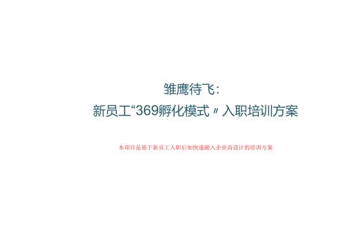 新员工369孵化模式入职培训方案.docx