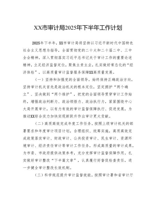 市审计局2025年下半年工作计划.docx