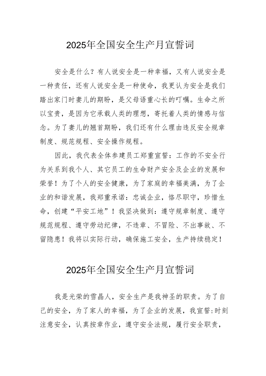 2025年全国安全生产月动员会宣誓词.docx_第1页