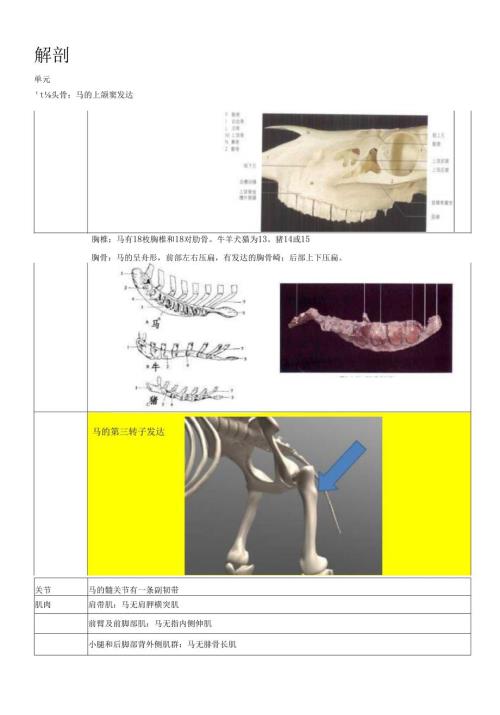 马与其他动物的区别.docx