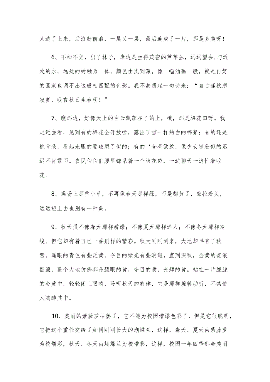 描写景的作文6篇.docx_第2页