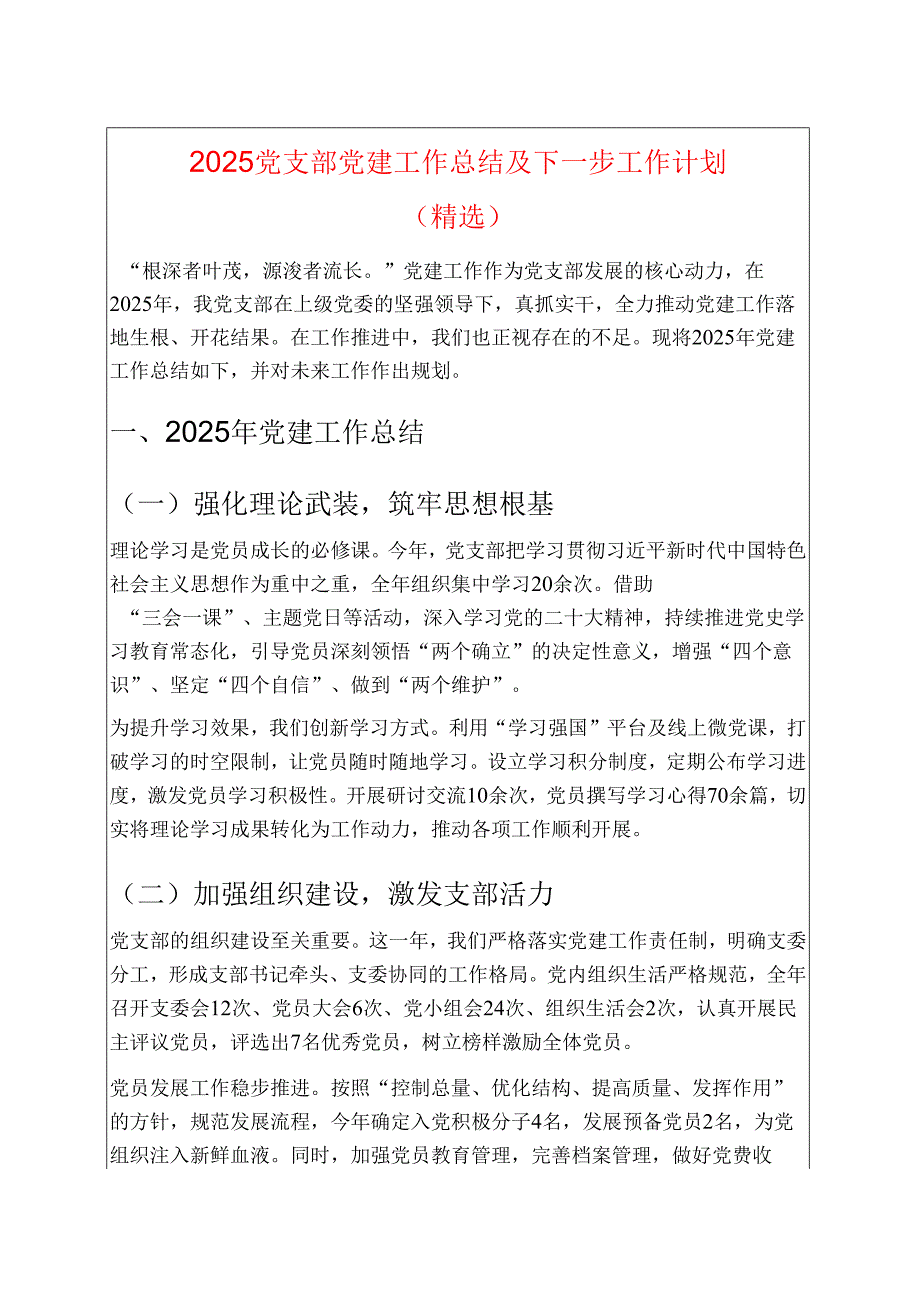 2025 党支部党建工作总结及下一步工作计划（精选）.docx_第1页