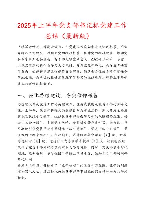 2025 年上半年党支部书记抓党建工作总结（最新版）.docx