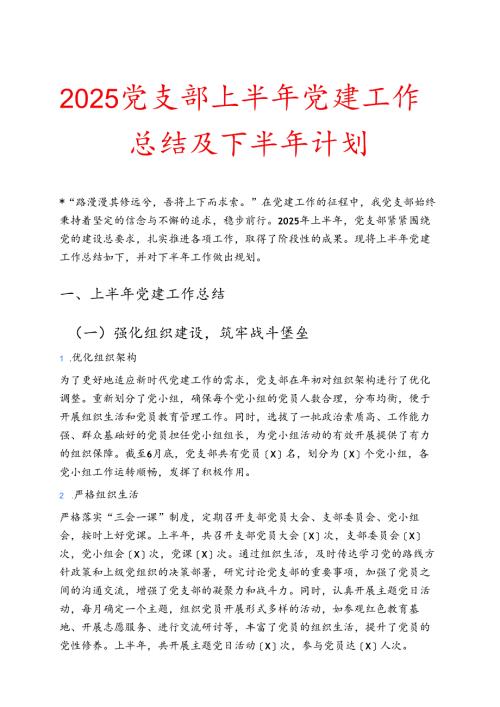 2025党支部上半年党建工作总结及下半年计划.docx