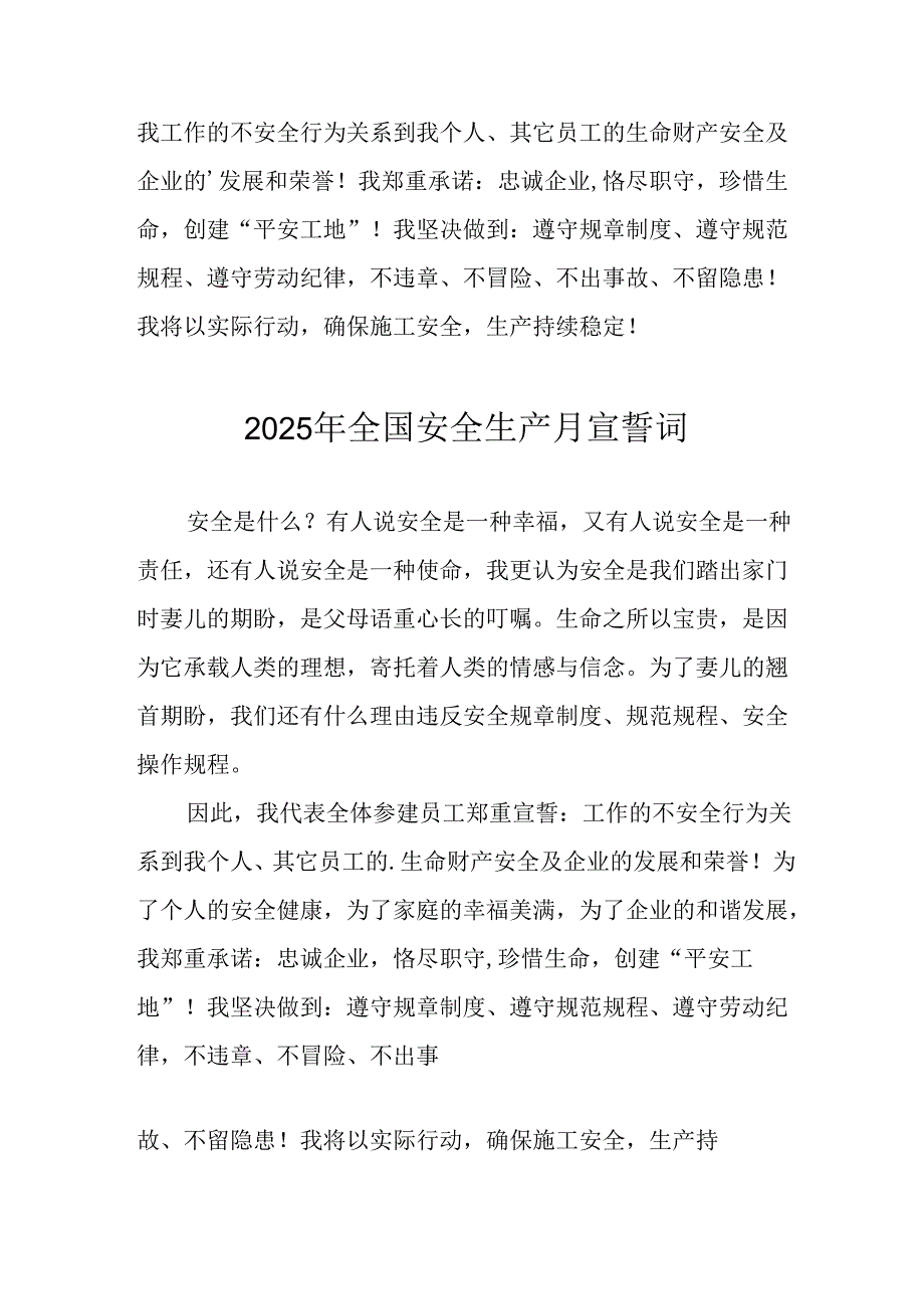 2025年全国《安全生产月》动员会宣誓词.docx_第2页
