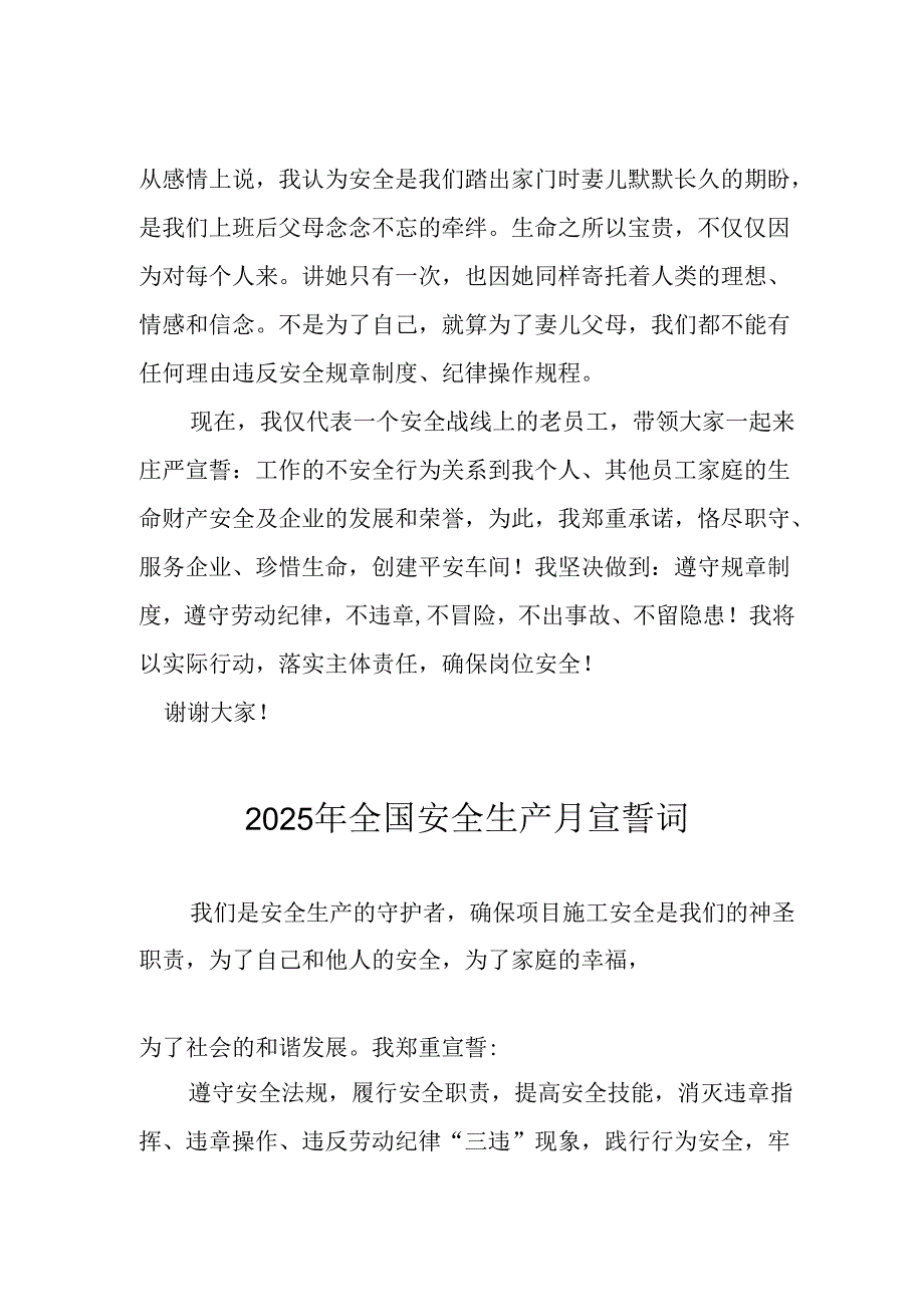 2025年全国《安全生产月》动员会宣誓词 （汇编9份）.docx_第2页