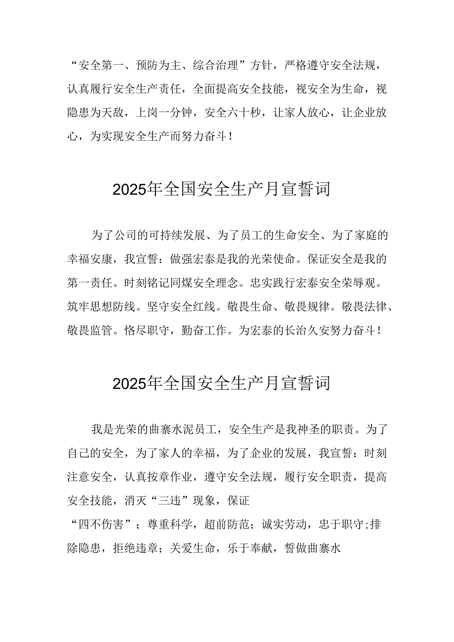 2025年《安全生产月》个人宣誓词 （汇编9份）.docx_第2页
