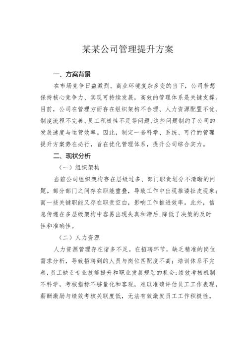 某某公司管理提升方案.docx