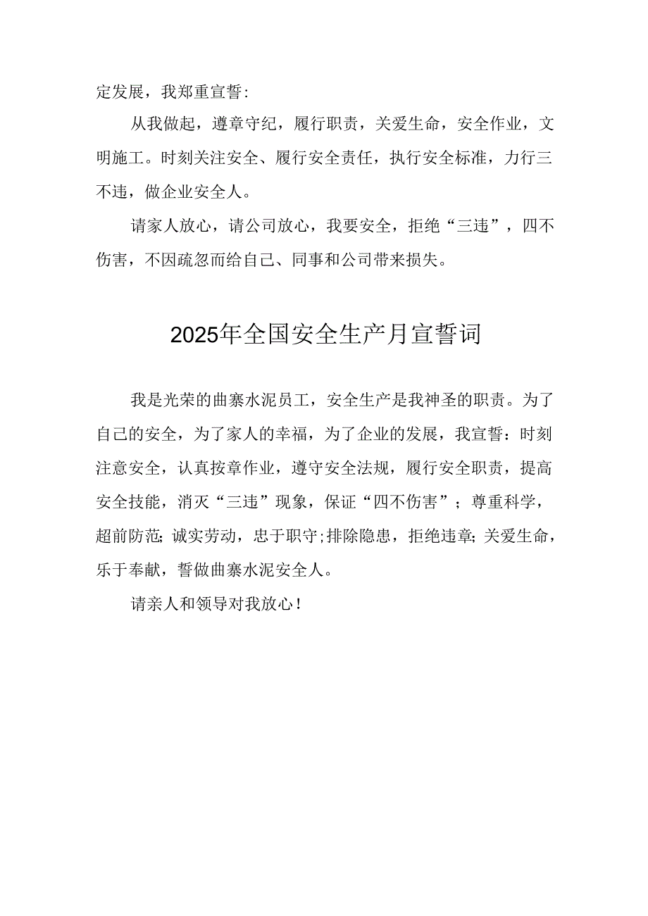 2025年《安全生产月》动员会宣誓词 （汇编4份）.docx_第2页