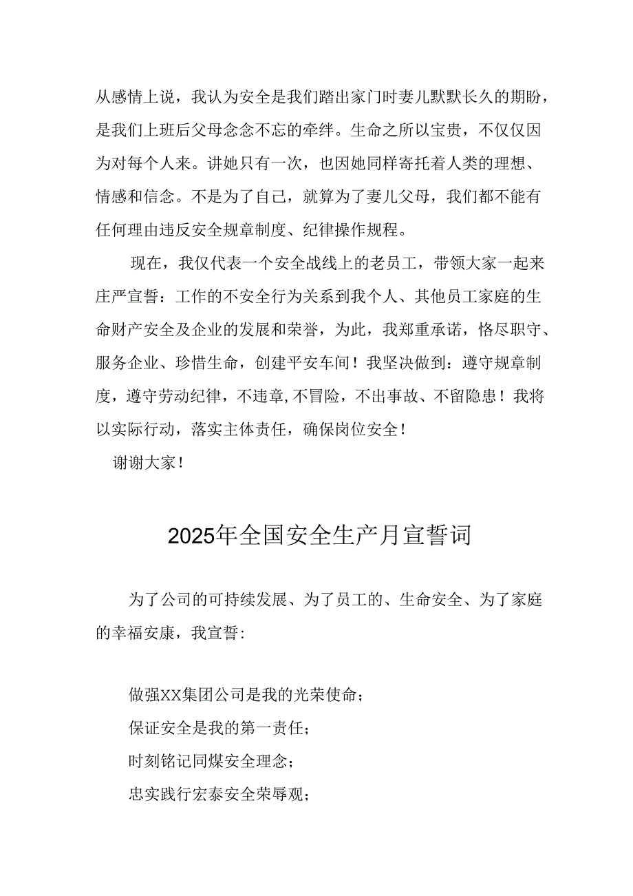 2025年全国安全生产月动员会宣誓词 （4份）.docx_第2页