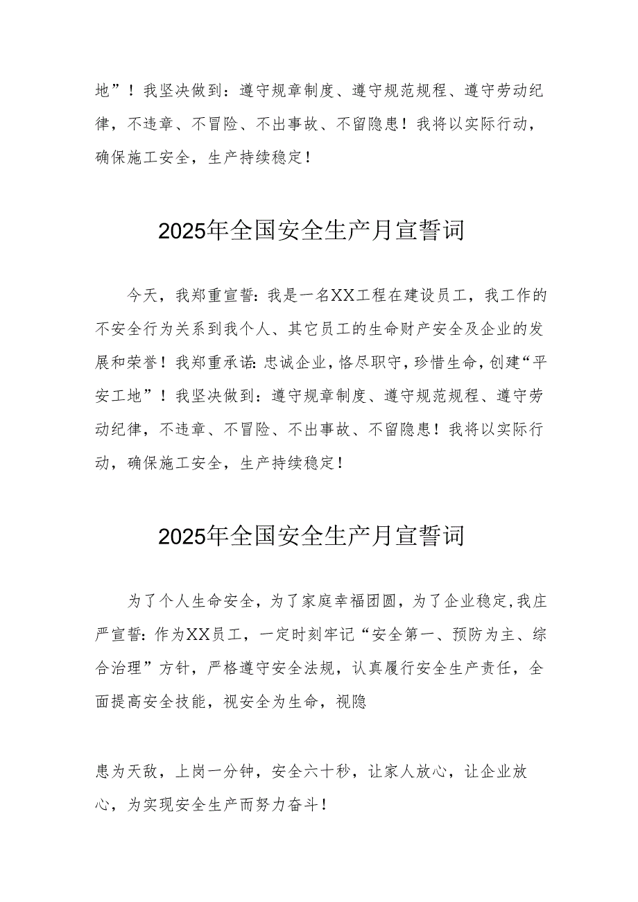 2025年《安全生产月》个人宣誓词 （4份）_91.docx_第2页
