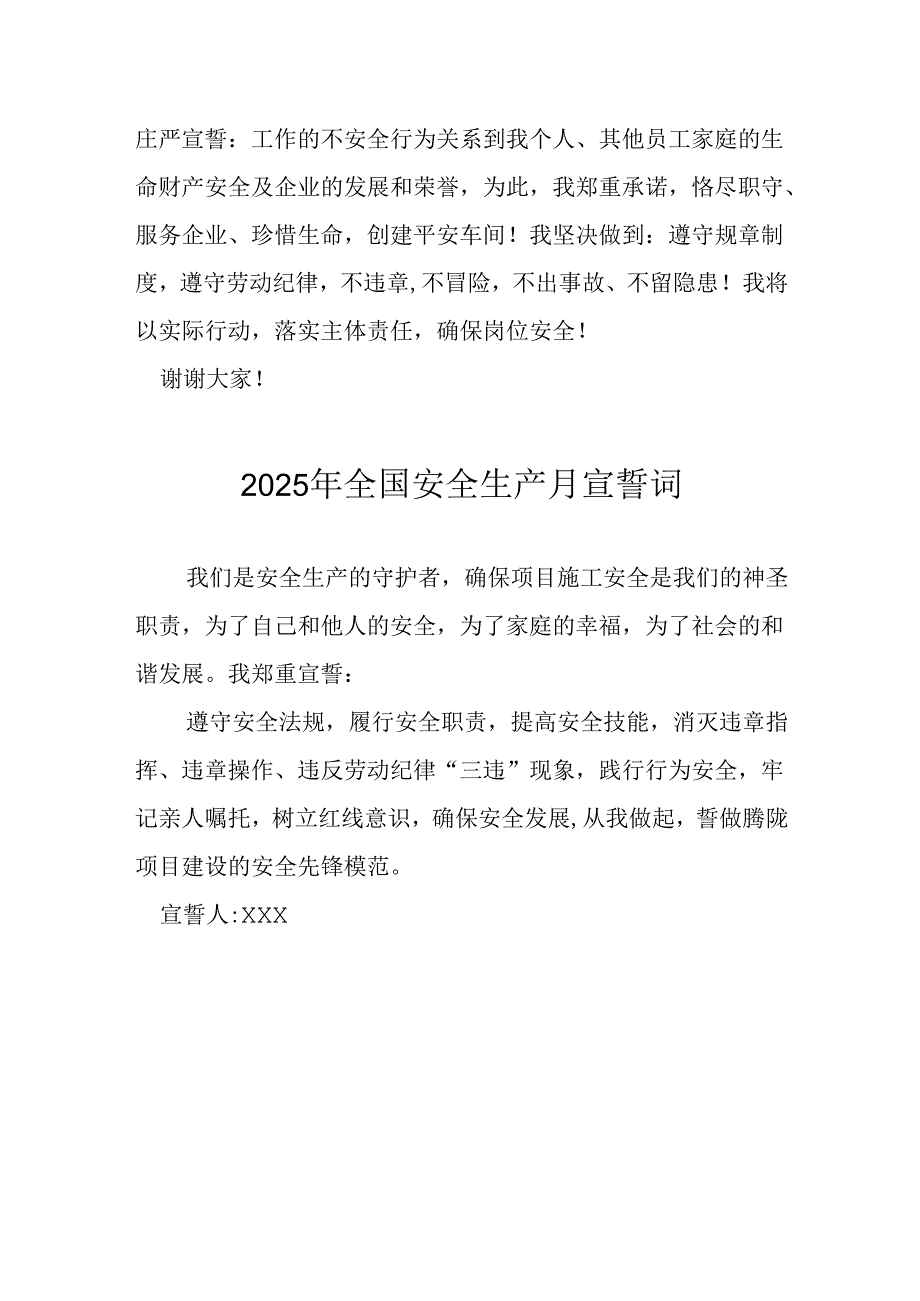 2025年全国安全生产月个人宣誓词 （4份）.docx_第3页