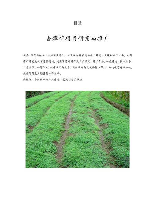 香薄荷项目研究开发与推广项目学术科技作品设计分析.docx