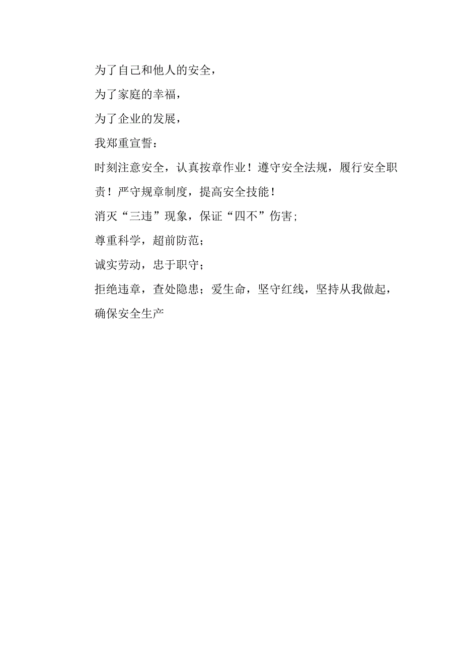 2025年全国安全生产月动员会宣誓词 （3份）.docx_第2页