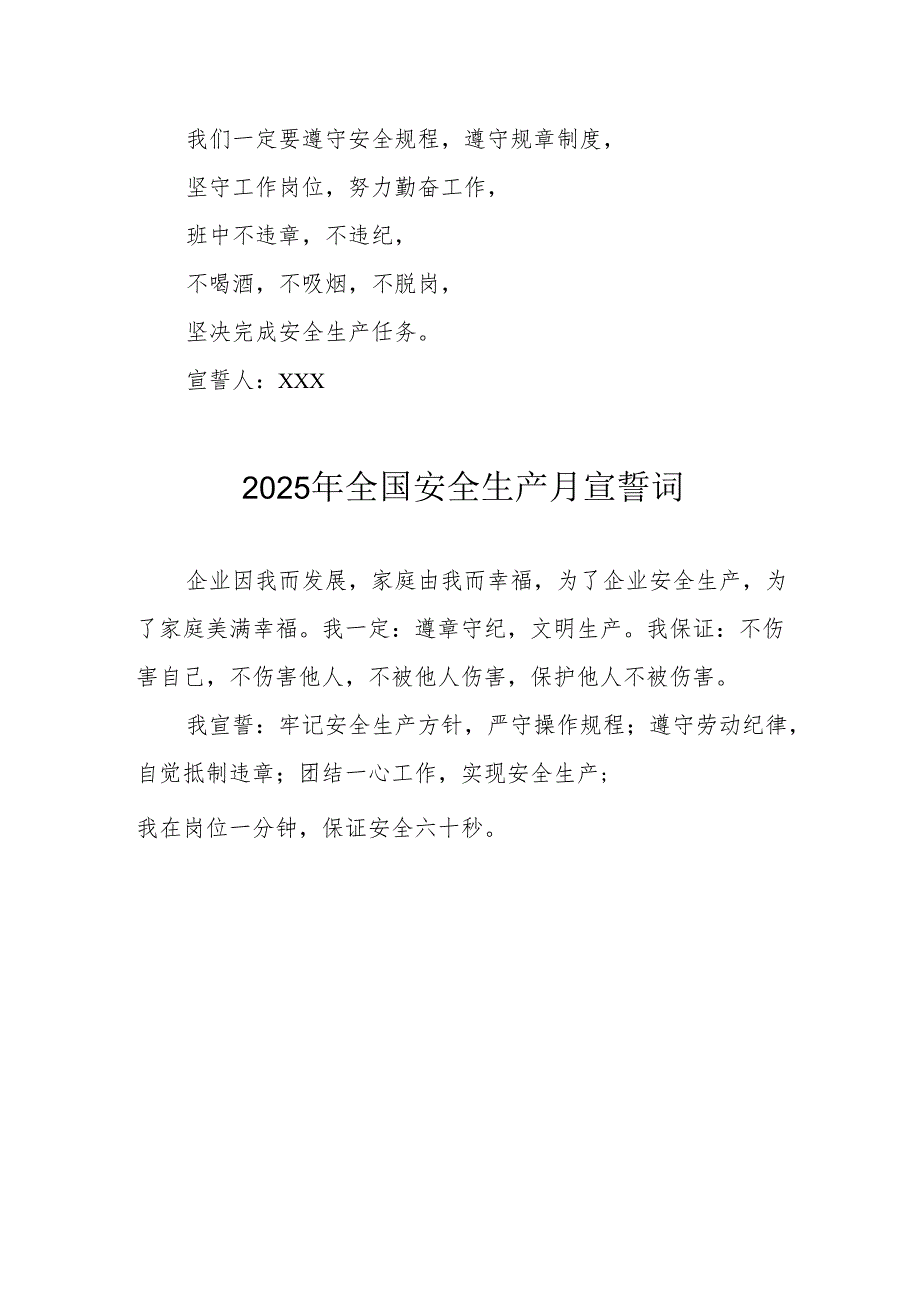 2025年全国《安全生产月》动员会宣誓词 合计4份.docx_第2页