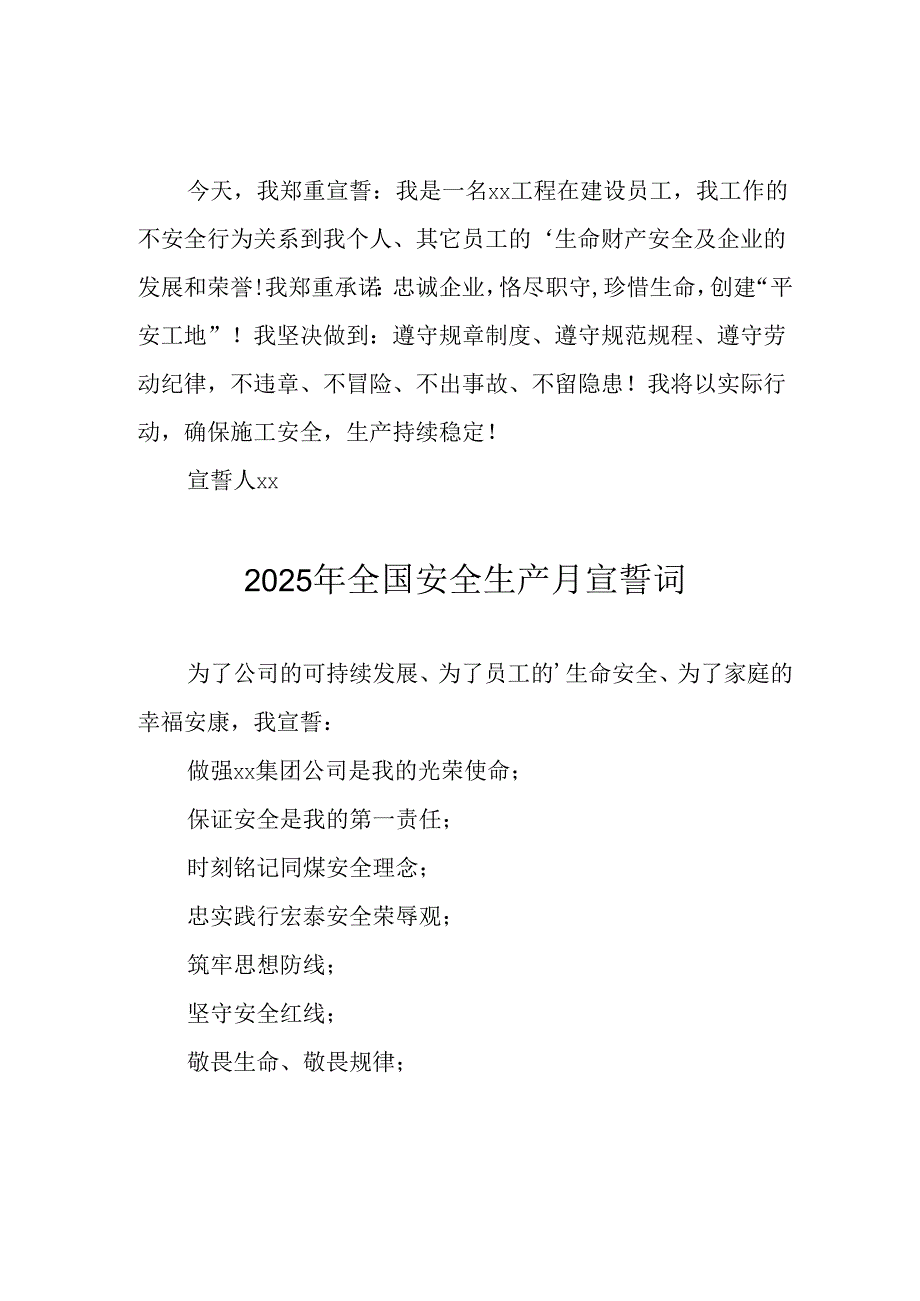 2025年《安全生产月》个人宣誓词 （4份）_96.docx_第2页