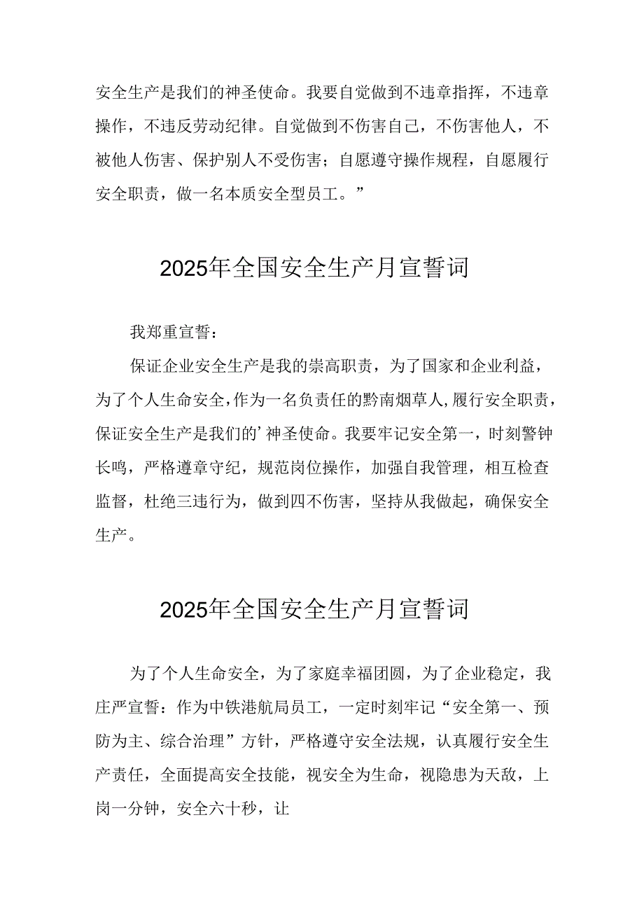 2025年全国《安全生产月》个人宣誓词 合计9份.docx_第2页