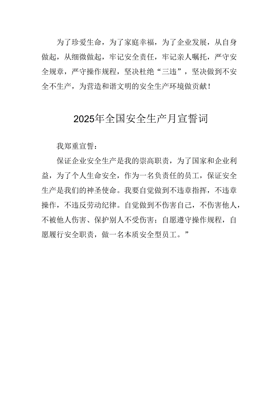 2025年全国《安全生产月》个人宣誓词 汇编4份.docx_第2页