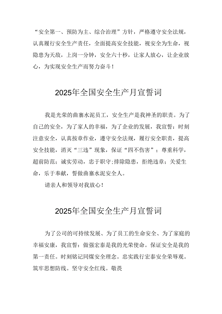 2025年安全生产月动员会宣誓词 （9份）.docx_第2页