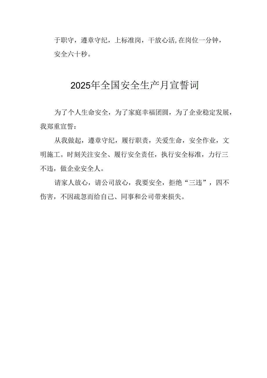 2025年全国《安全生产月》动员会宣誓词 合计3份.docx_第2页