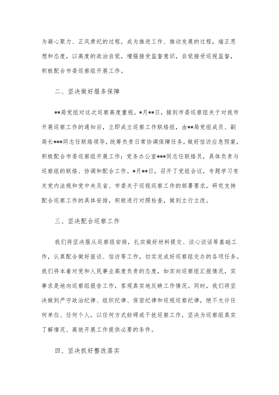 被巡察党组织表态发言材料.docx_第2页