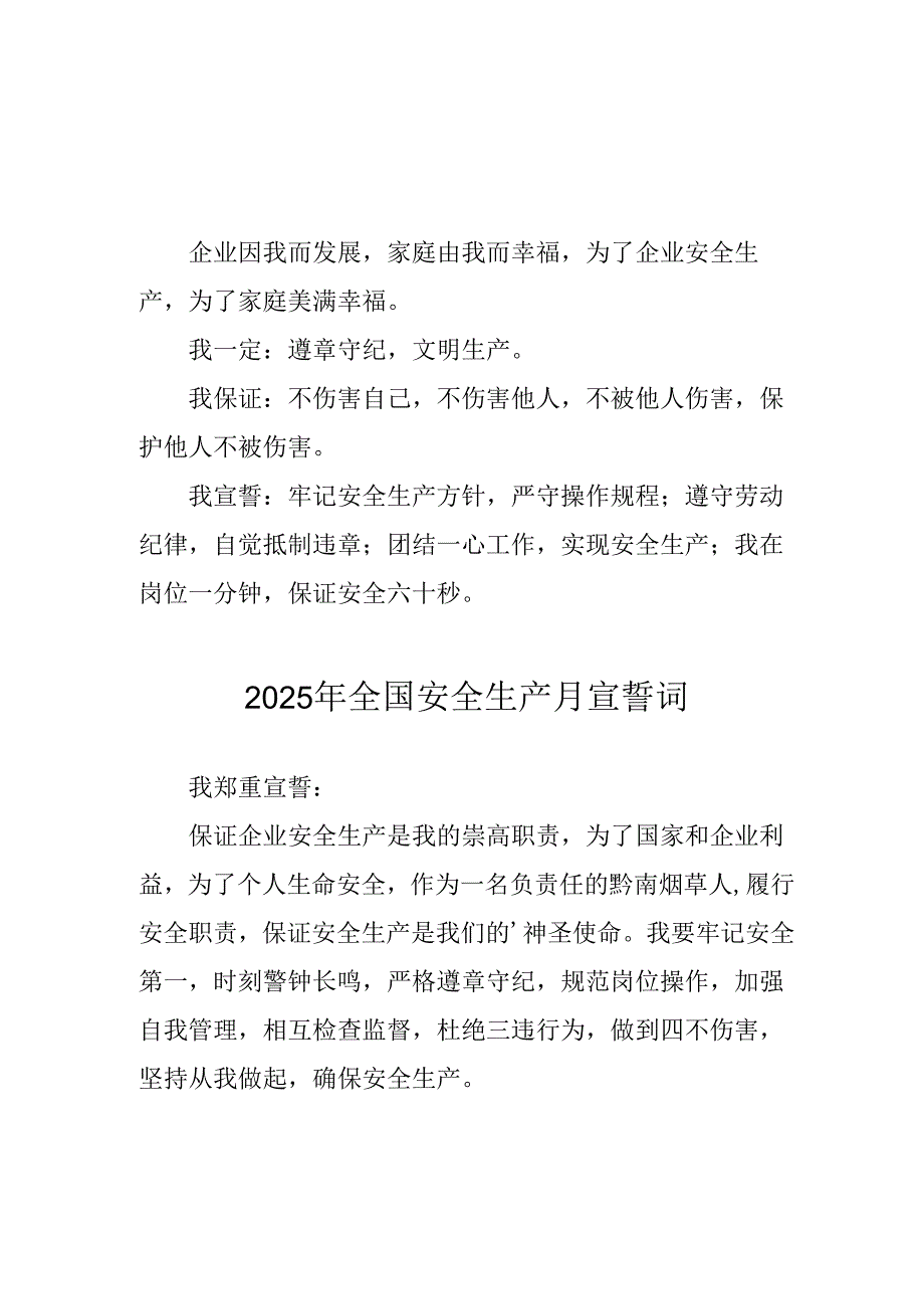 2025年安全生产月个人宣誓词.docx_第2页