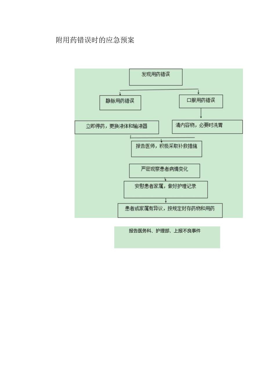 用药错误时应急预案.docx_第2页