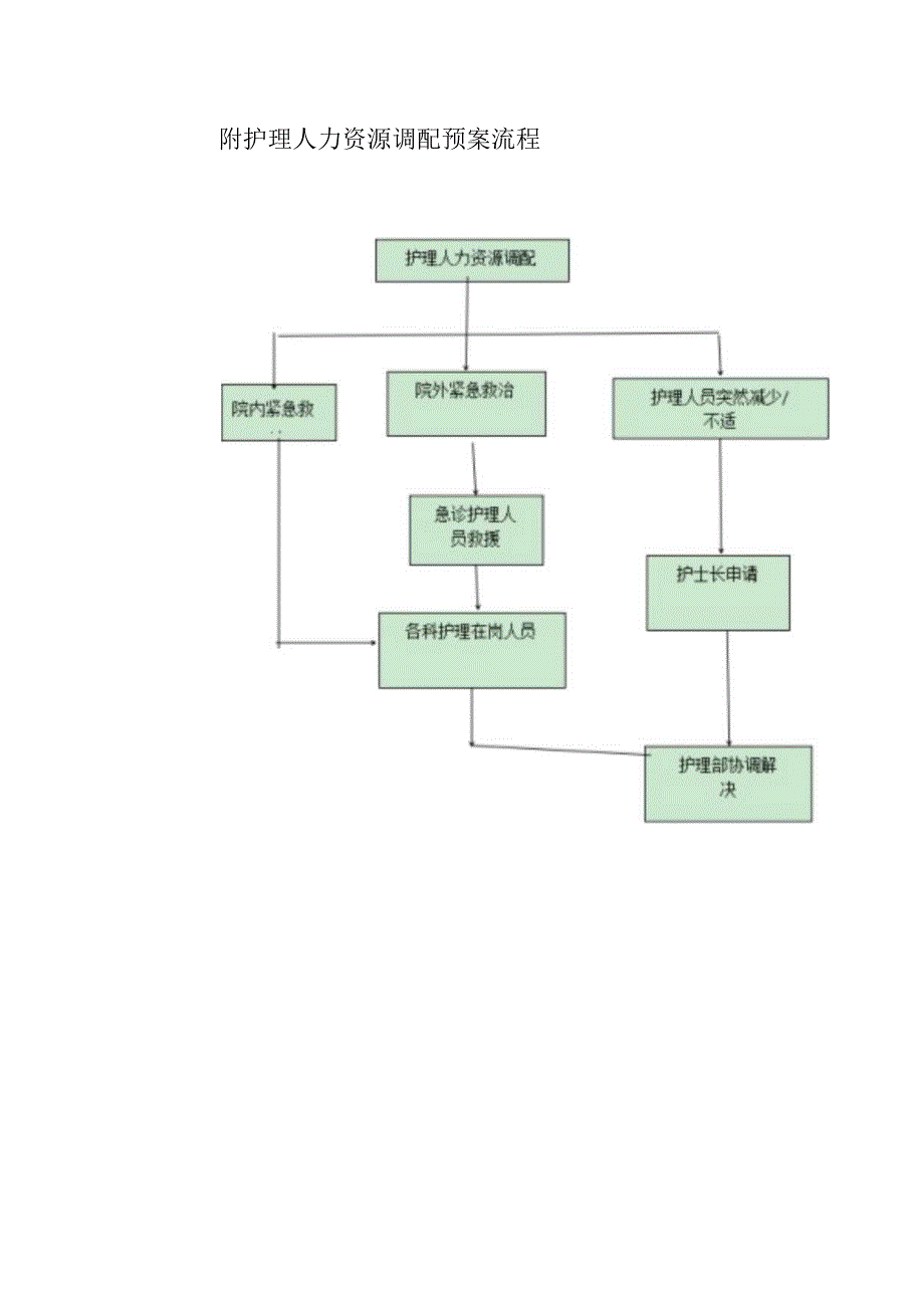 护理人力资源调配预案.docx_第2页