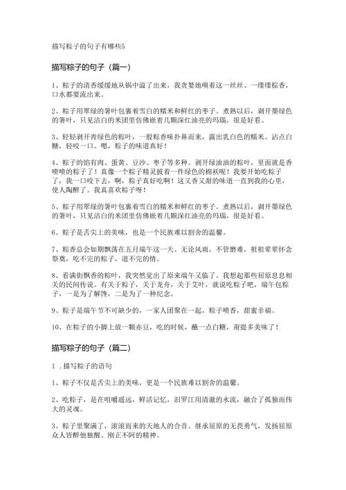 描写粽子的句子有哪些.docx