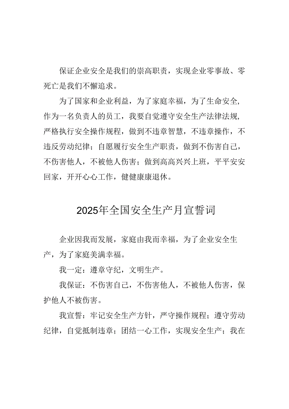 2025年全国安全生产月动员会宣誓词 汇编4份.docx_第1页