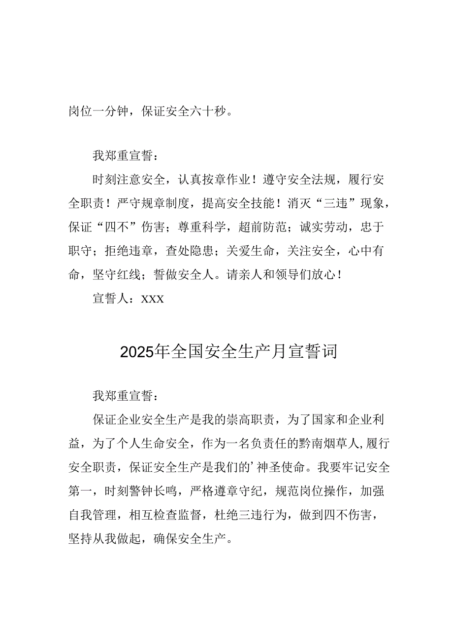 2025年全国安全生产月动员会宣誓词 汇编4份.docx_第2页